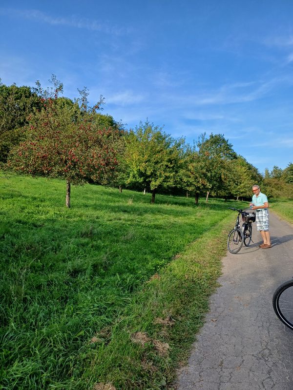 Nieheim Horn Nieheim