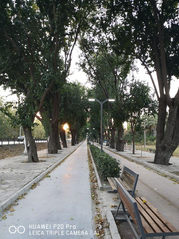Zeytinköy Dutlu Yol