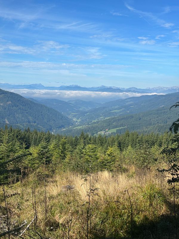 Fischbach - Schanz - Teufelstein - Fischbach