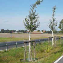 Sonntagsausfahrt 17.09.23