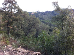 Highlight 3 along the Bikemap route "llambilles-Montnegre-Quart"