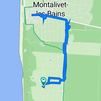 Vendays-Montalivet Markt