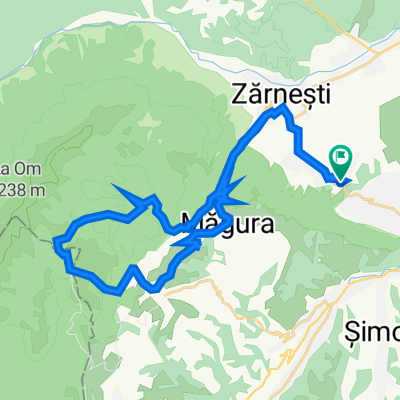 Traseu Laur + Vlad (2)
