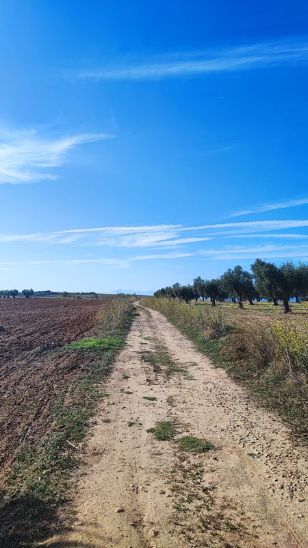 Day 2 - Toledo to Embalse Cazalegas