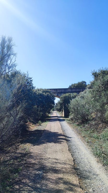 Day 3 - Embalse Cazalegas to Carrascalejo