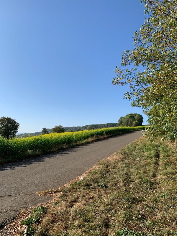 3-Lörrach-Breisach-66km-500Hm