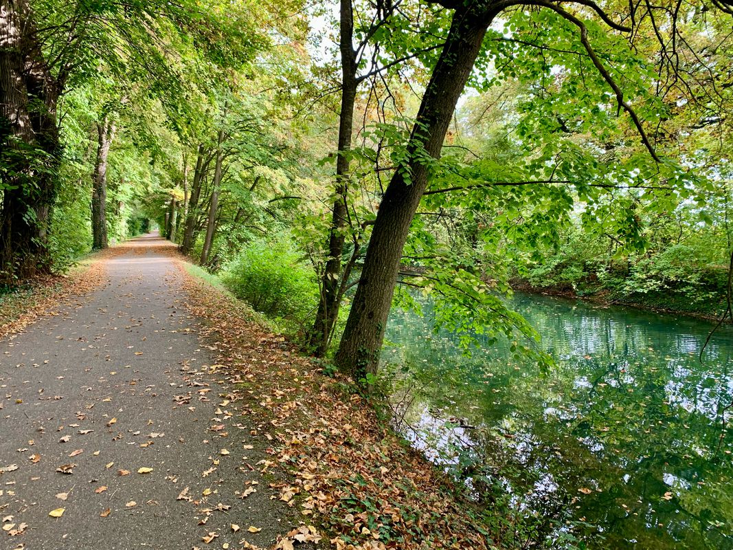 4-Breisach-Kehl-79km-170Hm