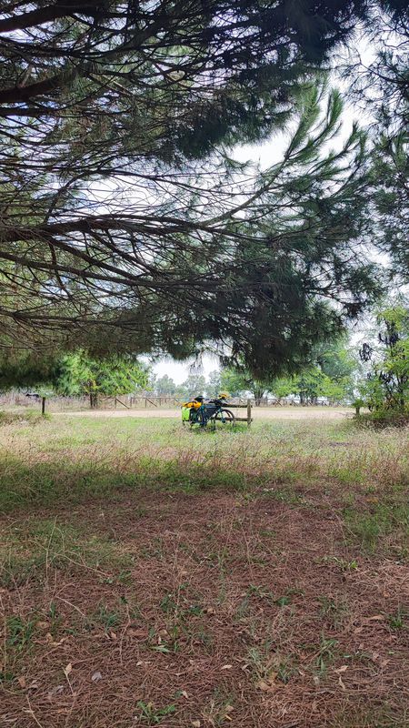 Day 7 | Merida to La Albuera