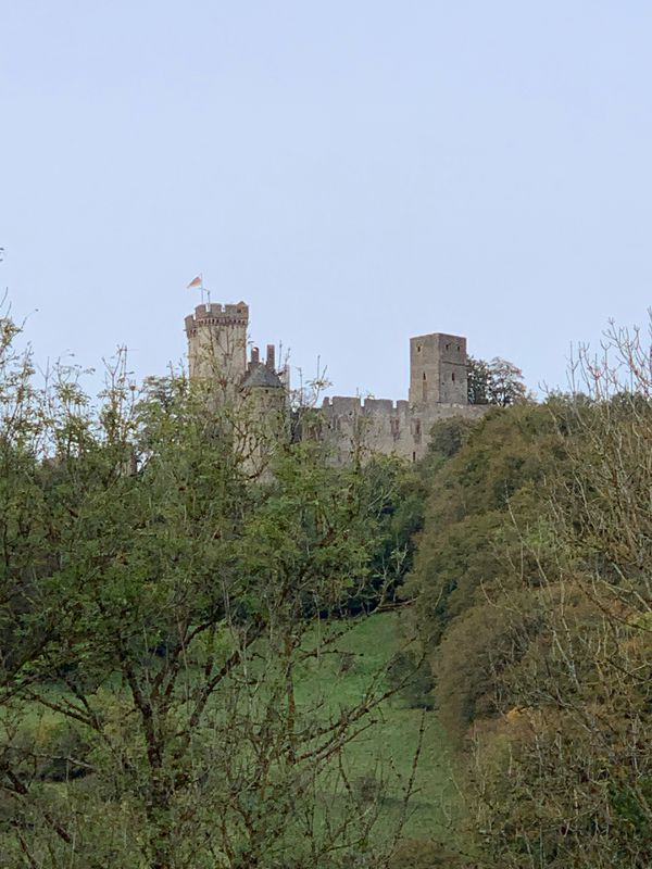8-Konz-Pelm-91km-1350Hm