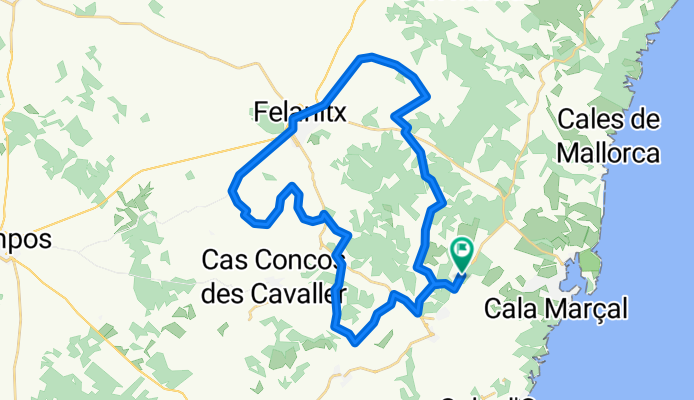 Felanix