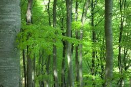 Highlight 10 along the Bikemap route "Bears - who cares!"