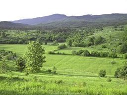 Highlight 19 along the Bikemap route "Bears - who cares!"