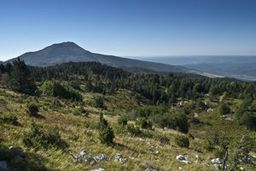 Highlight 4 along the Bikemap route "Bears - who cares!"