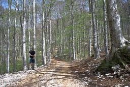 Highlight 7 along the Bikemap route "Bears - who cares!"