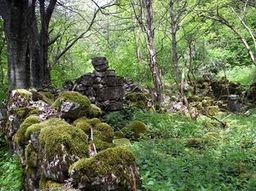 Highlight 12 along the Bikemap route "Bears - who cares!"