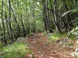 Highlight 11 along the Bikemap route "Bears - who cares!"