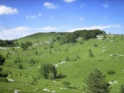 Highlight 5 along the Bikemap route "Bears - who cares!"