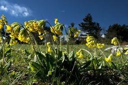 Highlight 3 along the Bikemap route "Bears - who cares!"