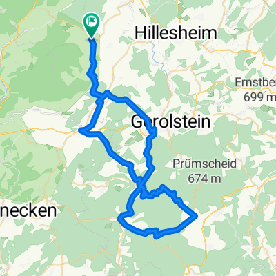 !Eifelbrassel_2012_Salm_58
