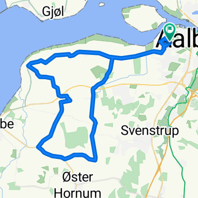 Aalborg Triathlon 1/4 Jernmand