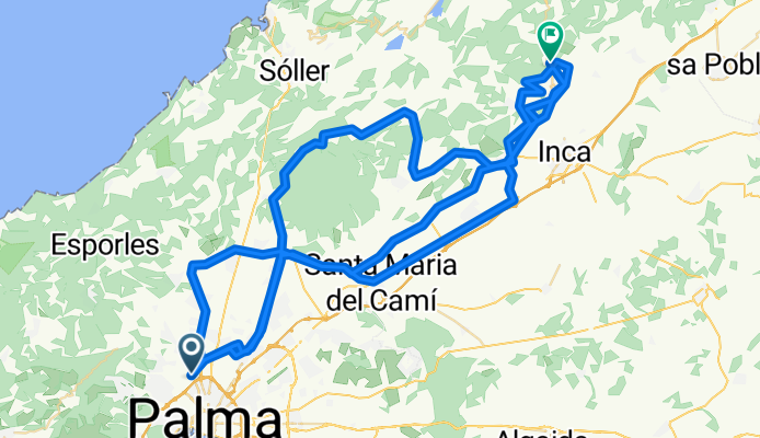 Orient, Selva, Caimari
