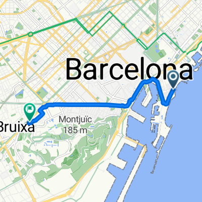 Carrer de Pepe Rubianes, 38, Barcelona to Carrer de Sant Pauli de Nola, 4, Barcelona