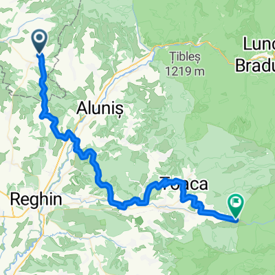VT - Ziua 7 - Gledin - Brancovenesti - Casva - Bradatelu