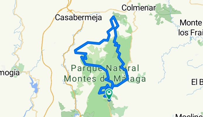 sabado 11