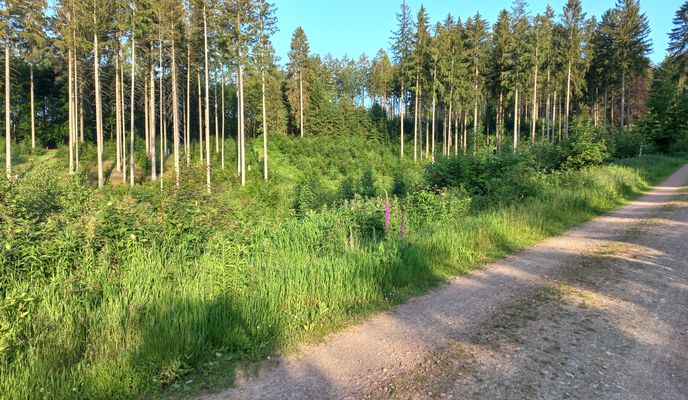 Foto 2 de la ruta de Bikemap "Jahnsdorfer-Klaffenbacher-Runde" Foto 2 de la ruta de Bikemap "Jahnsdorfer-Klaffenbacher-Runde"