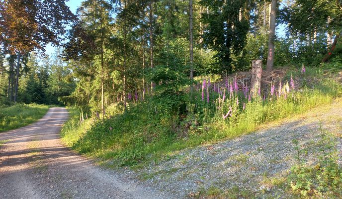 Foto 1 de la ruta de Bikemap "Jahnsdorfer-Klaffenbacher-Runde" Foto 1 de la ruta de Bikemap "Jahnsdorfer-Klaffenbacher-Runde"