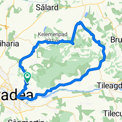 Paleu-Sarbi-Ineu-Saldabagiu