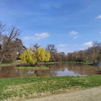 Foto 7 der Bikemap-Route "Béke tér 5-7, Székesfehérvár - Indóház utca 12, Siófok"