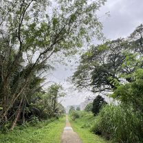 Photo 7 of the Bikemap route "Sembawang Rd,  to Hillview Ave, Hilltop Grove,"