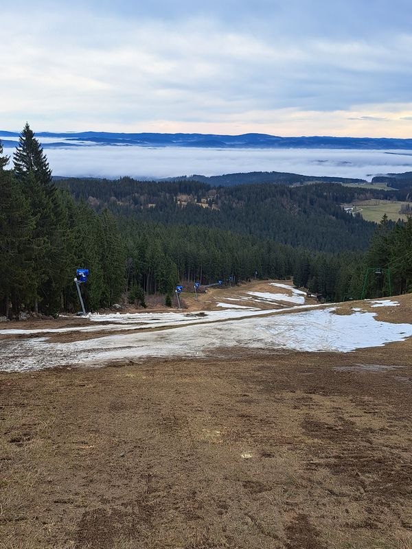 Traberg - Sternsteinwarte - Abfahrt Schipiste - Traberg