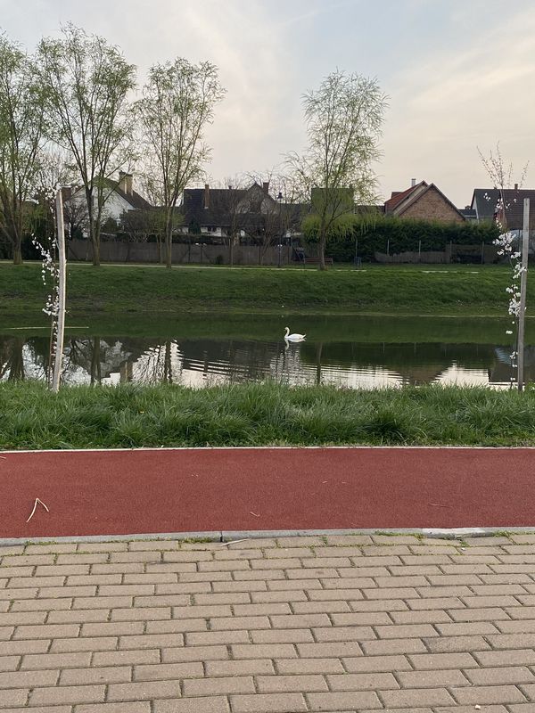 Kécskei út 60A., Abony - Kécskei út 62., Abony