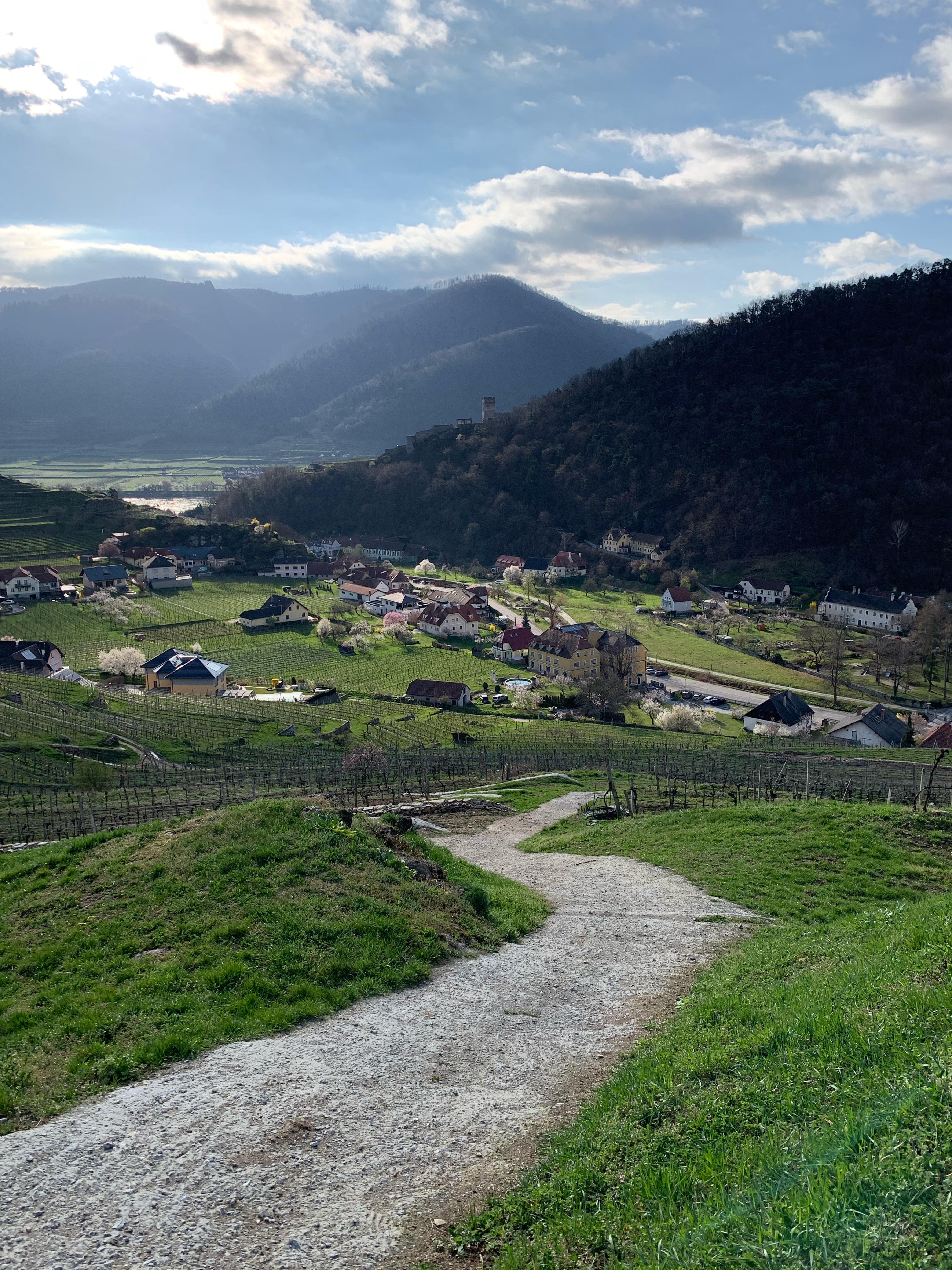 Krems to Spitz in Wachau