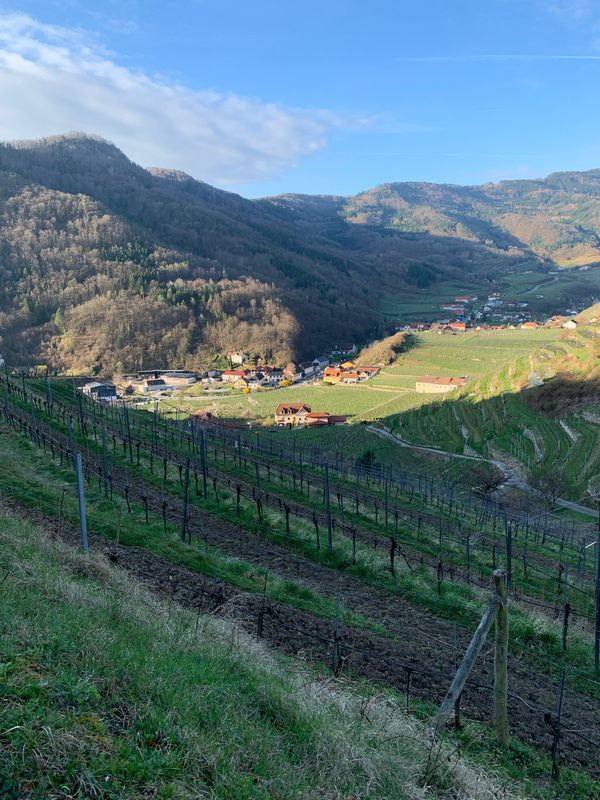 Krems to Spitz in Wachau
