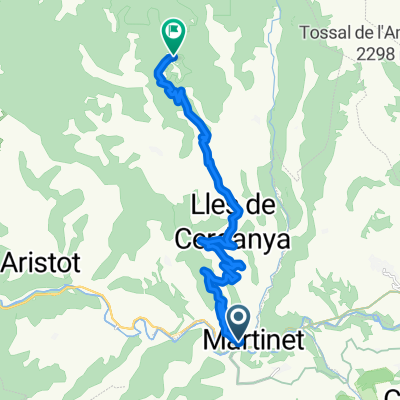 CAP de REC, por Martinet de Cerdanya