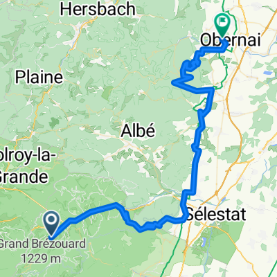 Sainte-Marie-aux-Mines to Obernai 73km