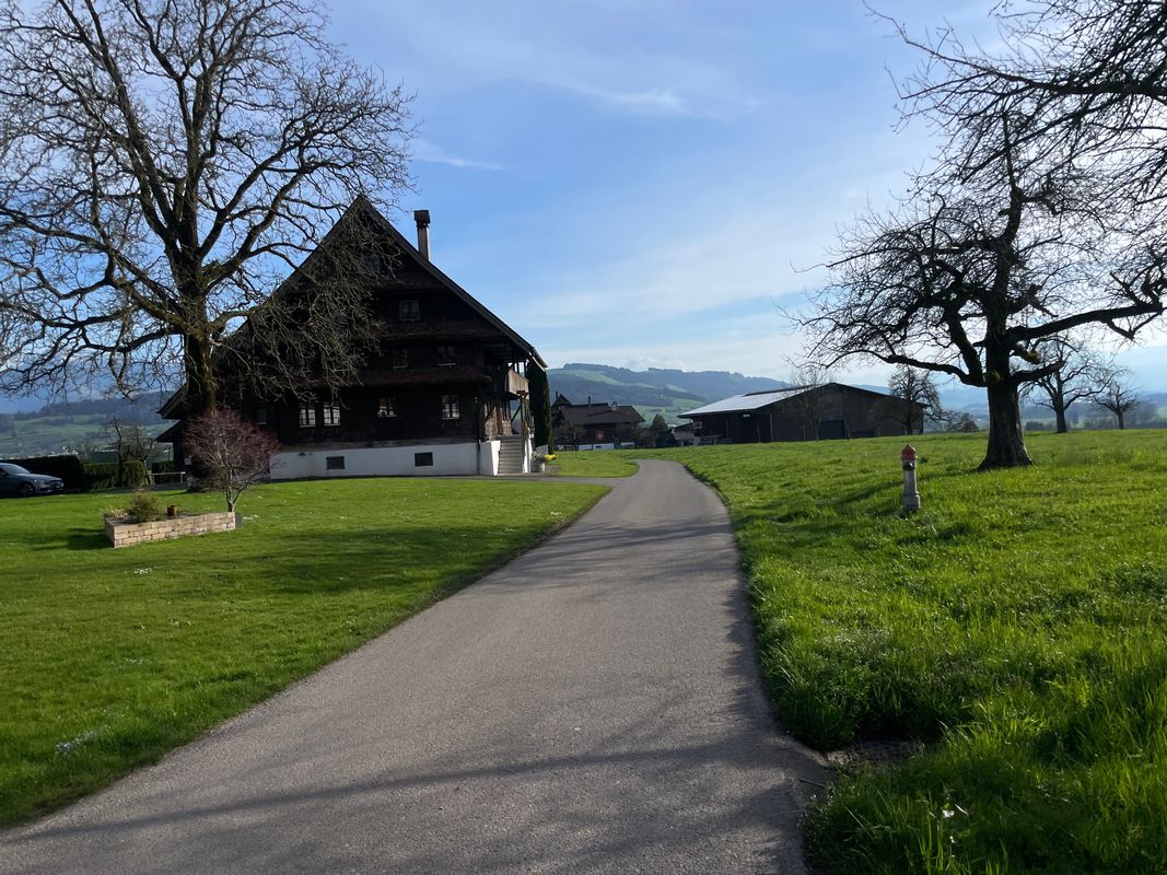 Erich's Surprise-Tour 1.0 via Rotkreuz und Meierskappel mit Mägi