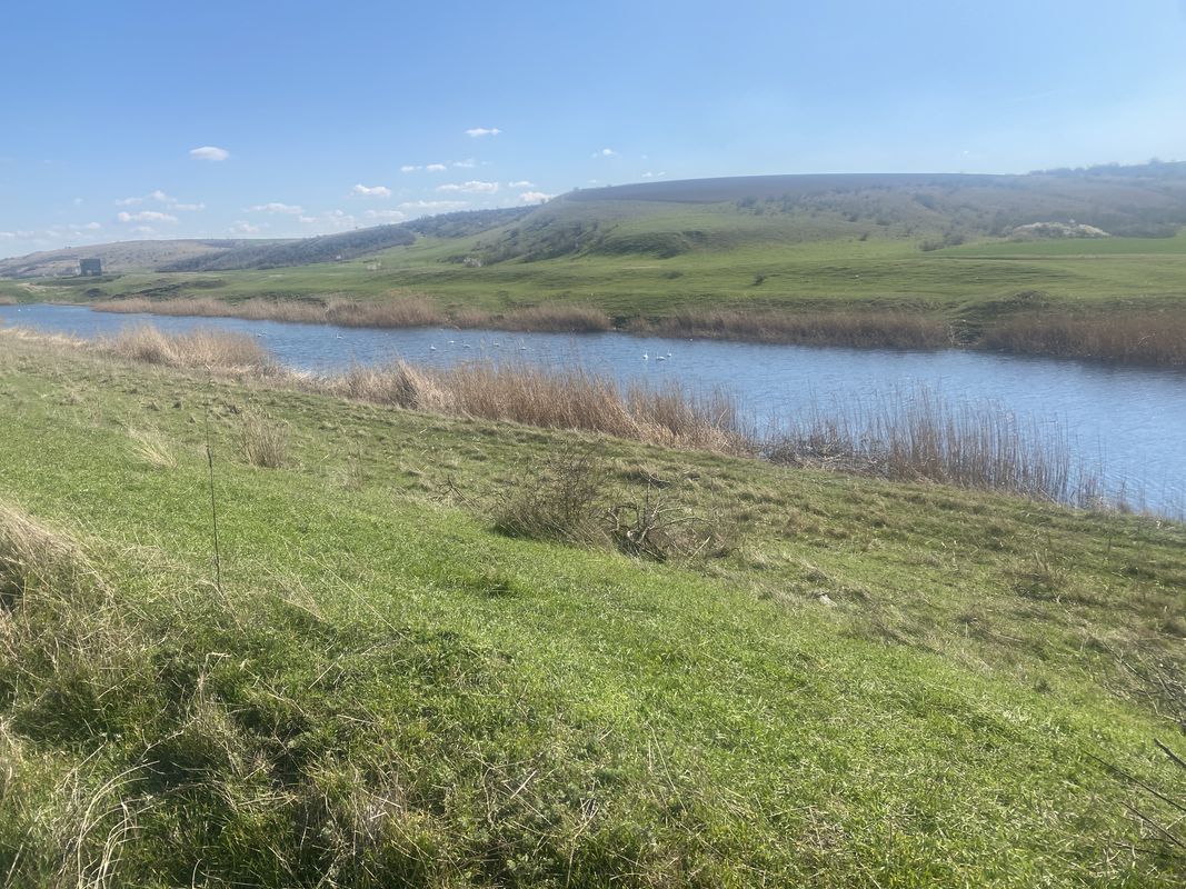 Strada Vasile Alecsandri, Rasova to Strada Vasile Alecsandri, Rasova