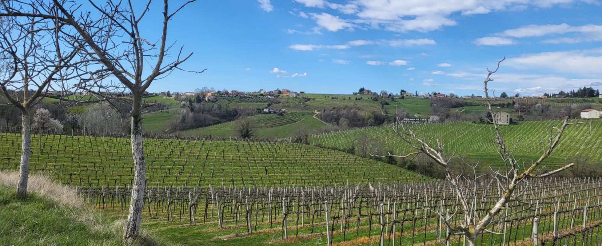 San Vendemiano  Guizza  Susegana Crevada Conegliano San Vendemiano