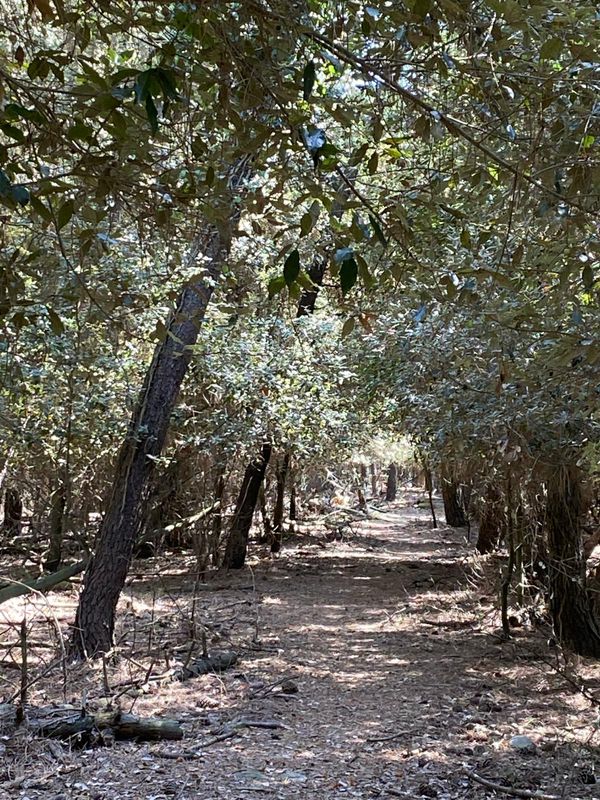 from Sant'Alberto to Crucai  land