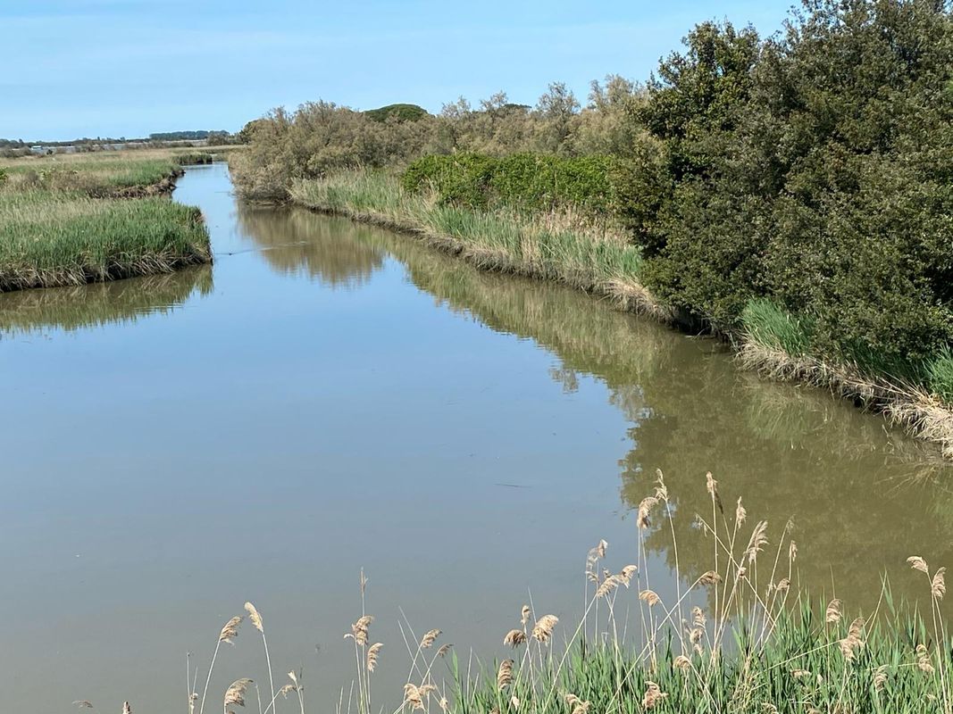 from Sant'Alberto to Crucai  land