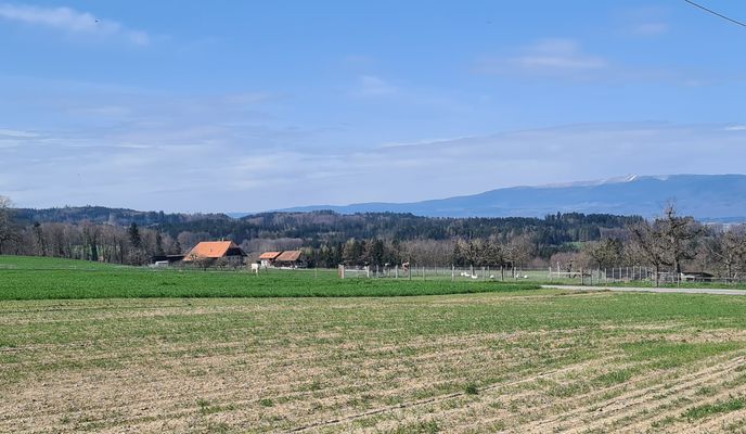 Photo 1 of the Bikemap route "Schüpberg - Halebrügg"