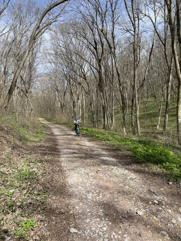Mănăstirea Codru - Pădurea Babadag- Mănăstirea Codru