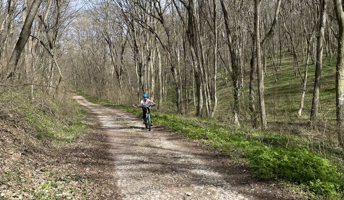 Foto 1 der Bikemap-Route "Mănăstirea Codru - Pădurea Babadag- Mănăstirea Codru"