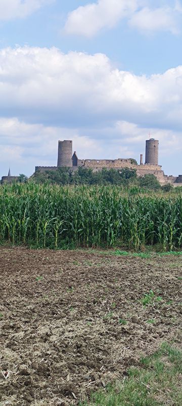Durch die Wetterau, Lich, Arnsburg, Münzenberg