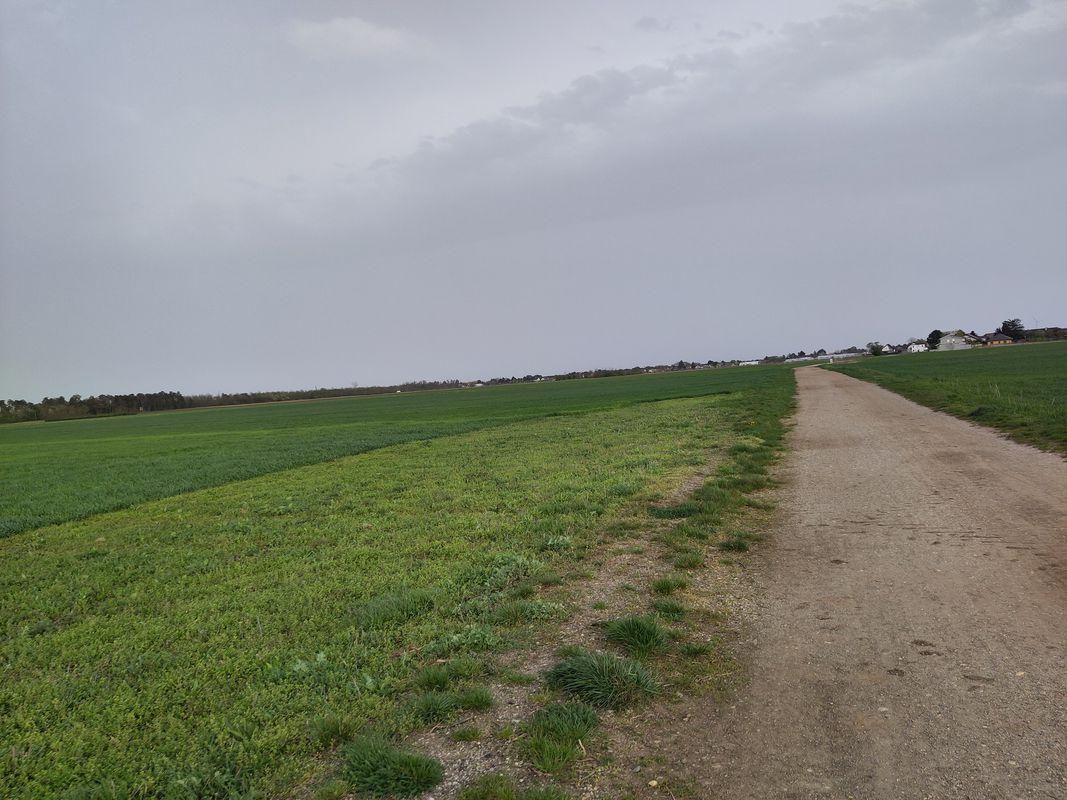 Bad Deutsch-Altenburg - heavy Marchfeld Graveln - Silberwald Bahnhst, Strasshof an der Nordbahn