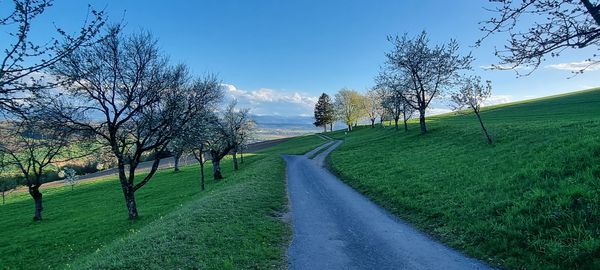 Foto 3: Fredolino